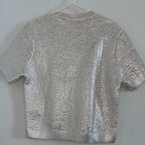 Zara Shiny Silver Short Sleeve Top